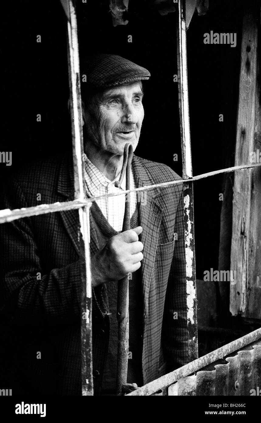 Vieux berger, tenant sa crosse à la fenêtre de grange Banque D'Images