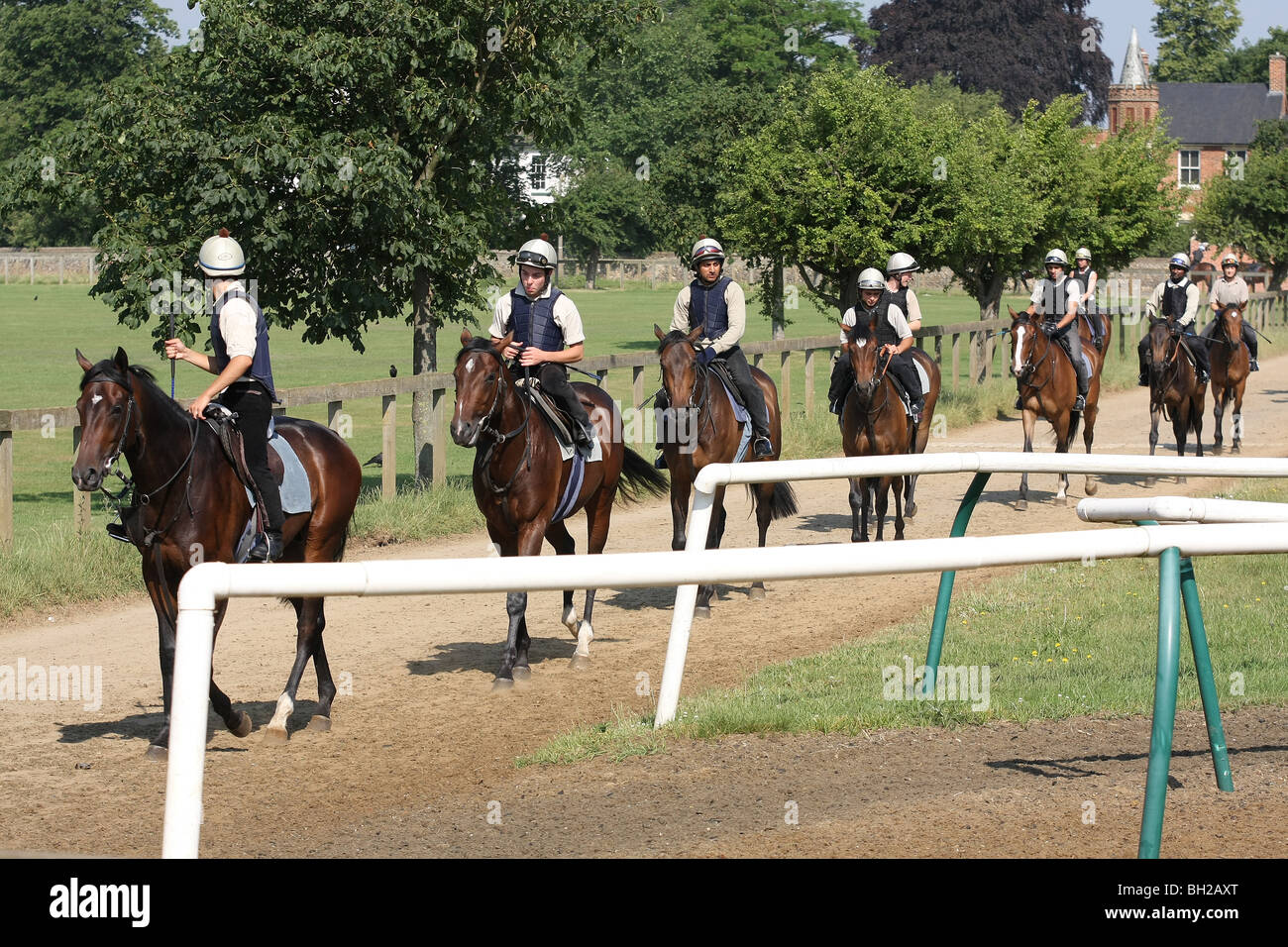 Traversée de la chaîne de chevaux plusieurs aux galops Banque D'Images