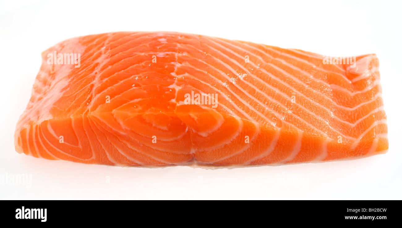 Un morceau de filet de saumon sur un fond blanc Banque D'Images