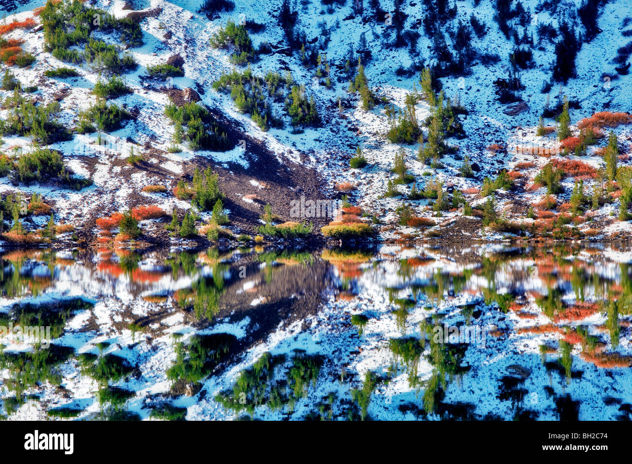 Ellery Lake avec la couleur de l'automne et de réflexion après des chutes de neige. Inyo National Forest, Californie Banque D'Images