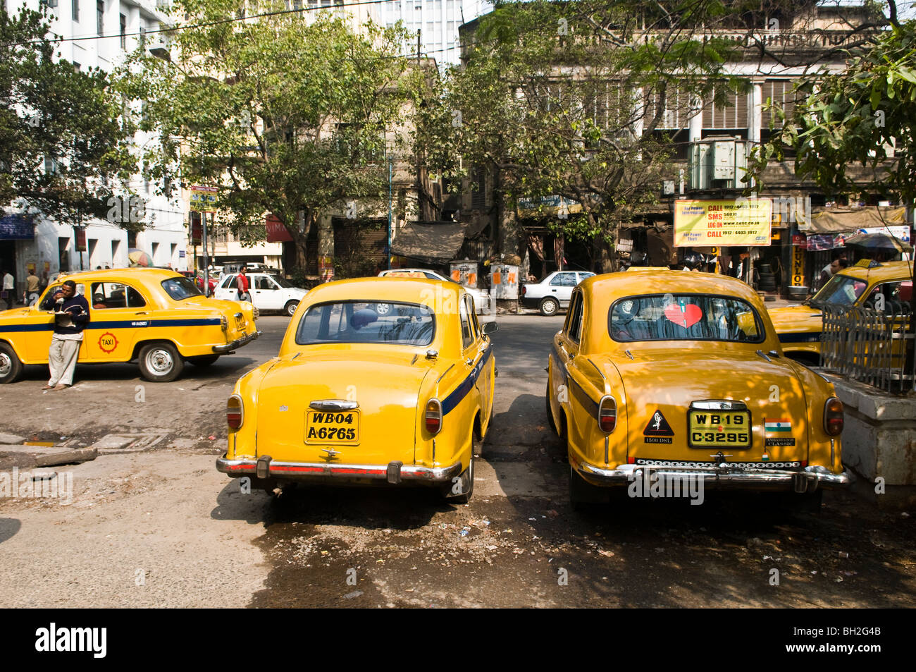 L'Ambassadeur classique taxis à Calcutta, Inde. Banque D'Images