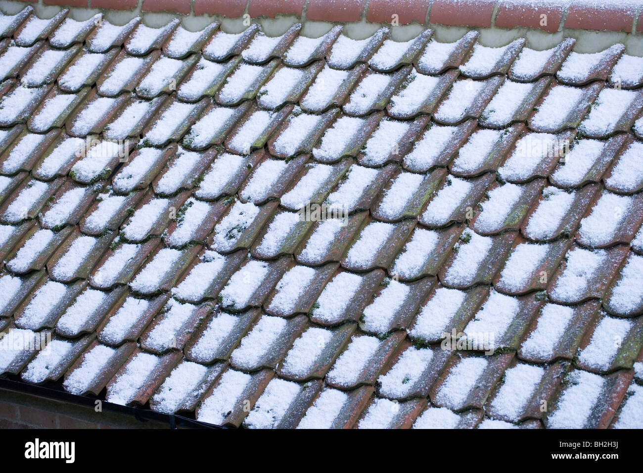 La neige et la grêle sur Pantile toit d'une dépendance. Ingham, Norfolk. Banque D'Images