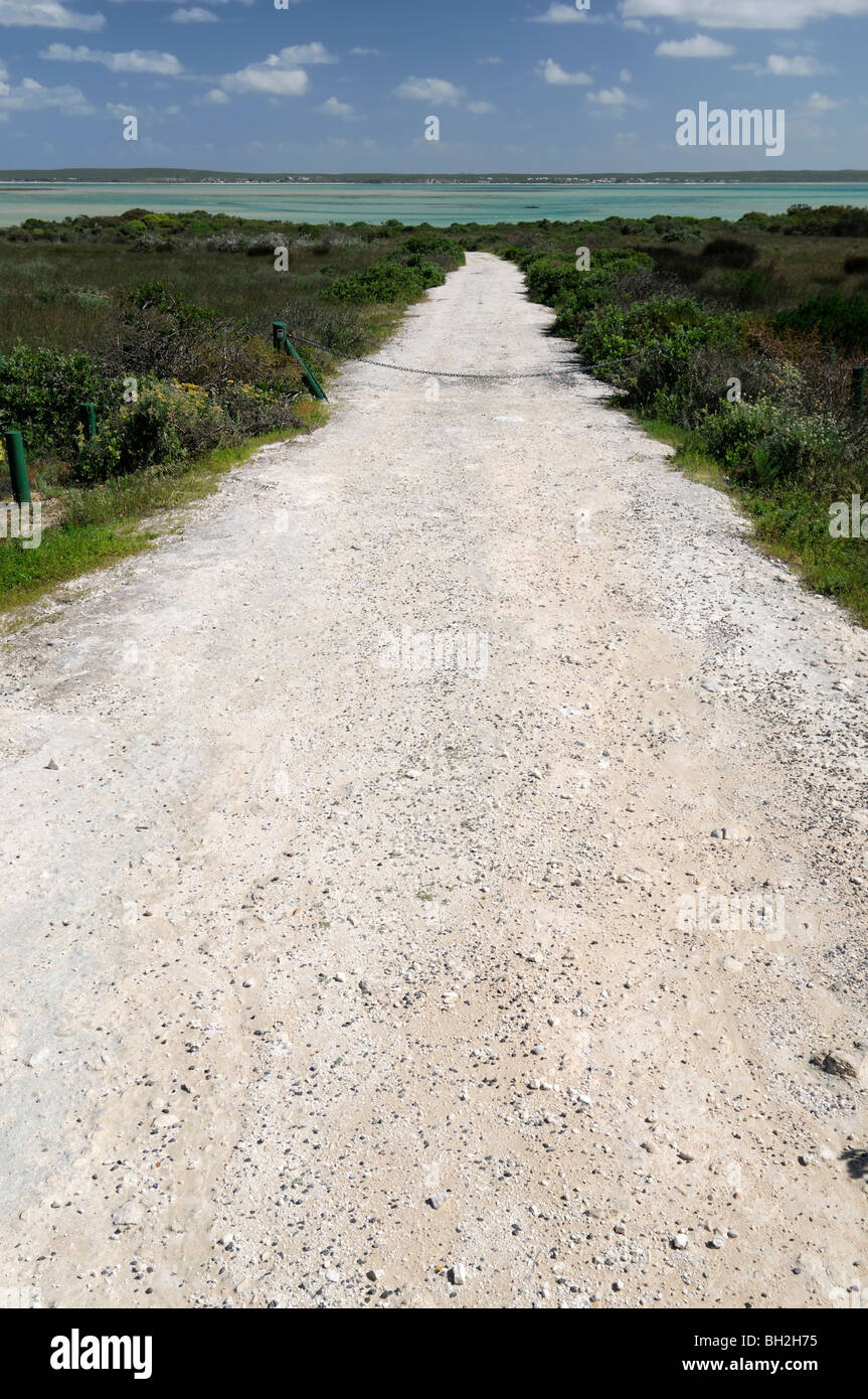 Route déserte désert vide menant à Langebaan lagoon West Coast National Park Western Cape Afrique du Sud Banque D'Images