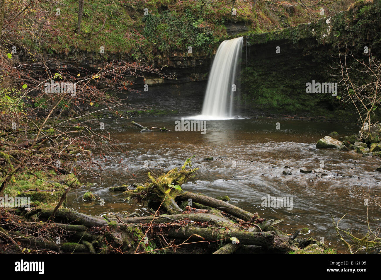 Sgwd Gwladus, Pontneddfechan, Brecon Beacons, Wales, UK Banque D'Images