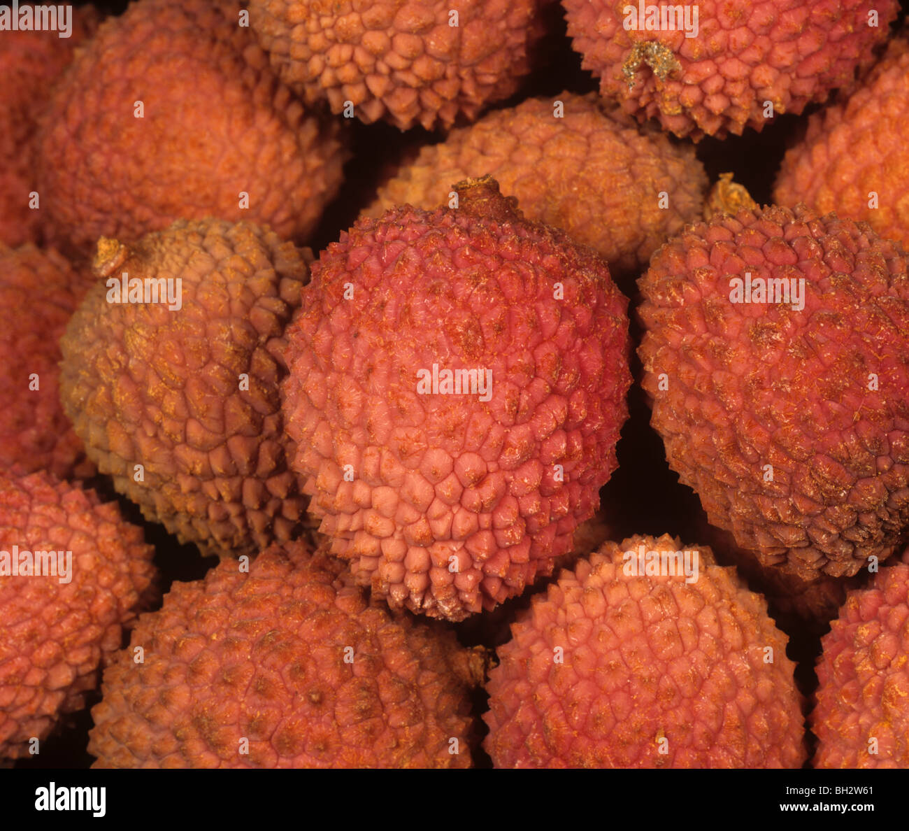 Lychee ou Litchi Litchi fruit (cinensis) de supermarché britannique Banque D'Images