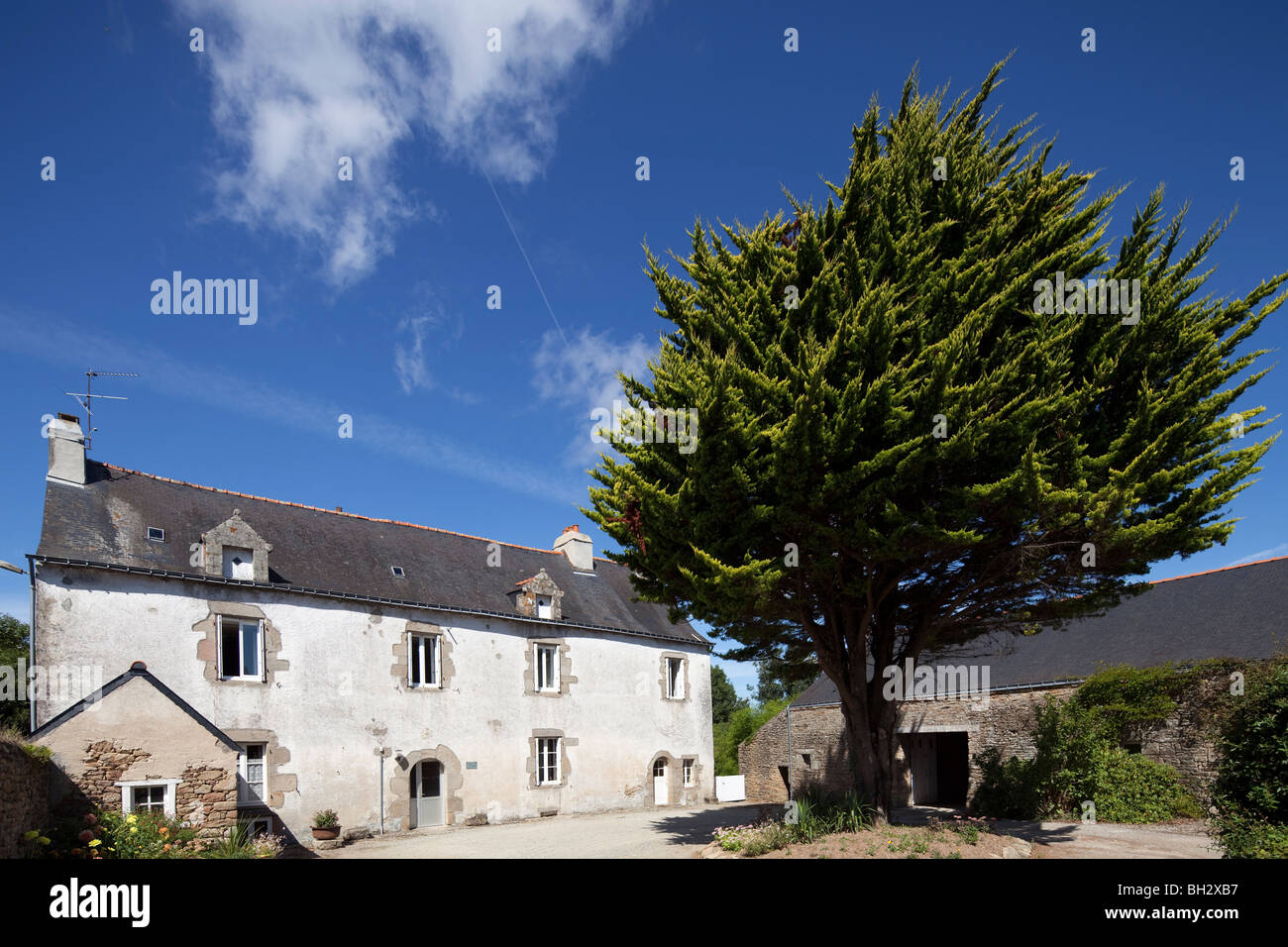 Maison typique, ville de Baden, Departament de Morbihan, Bretagne, France Banque D'Images