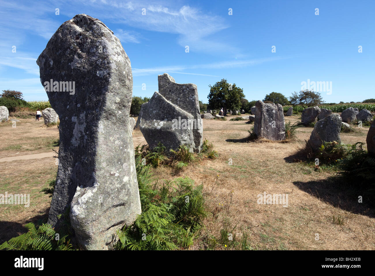 Mégalithes d'Kerherzo, ville d'Erdeven, Departament de Morbihan, Bretagne, France Banque D'Images
