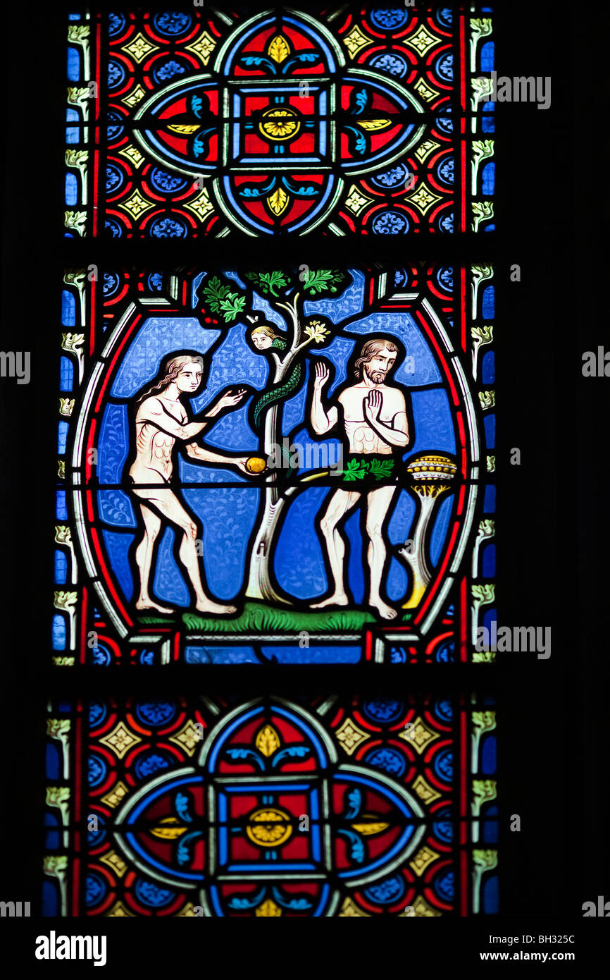 Adam et Eve de manger la pomme, vitrail, cathédrale Saint Pierre, Vannes, France Banque D'Images