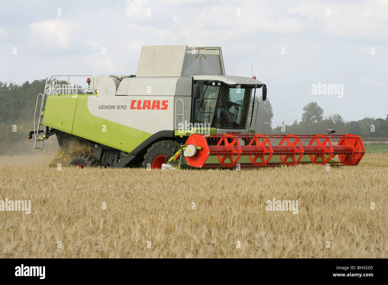 Une moissonneuse-batteuse récolte du blé Banque D'Images