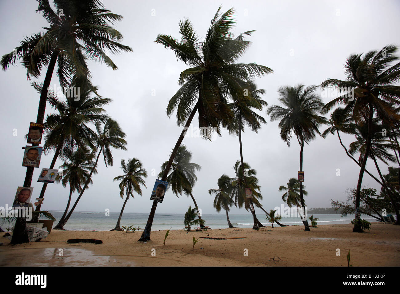 Palmiers, plage, jour de pluie, Las Galeras, péninsule de Samana, République Dominicaine Banque D'Images