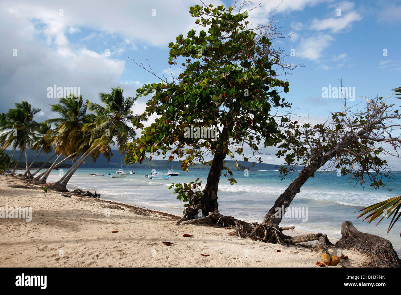 La plage de Las Galeras, péninsule de Samana, République Dominicaine Banque D'Images