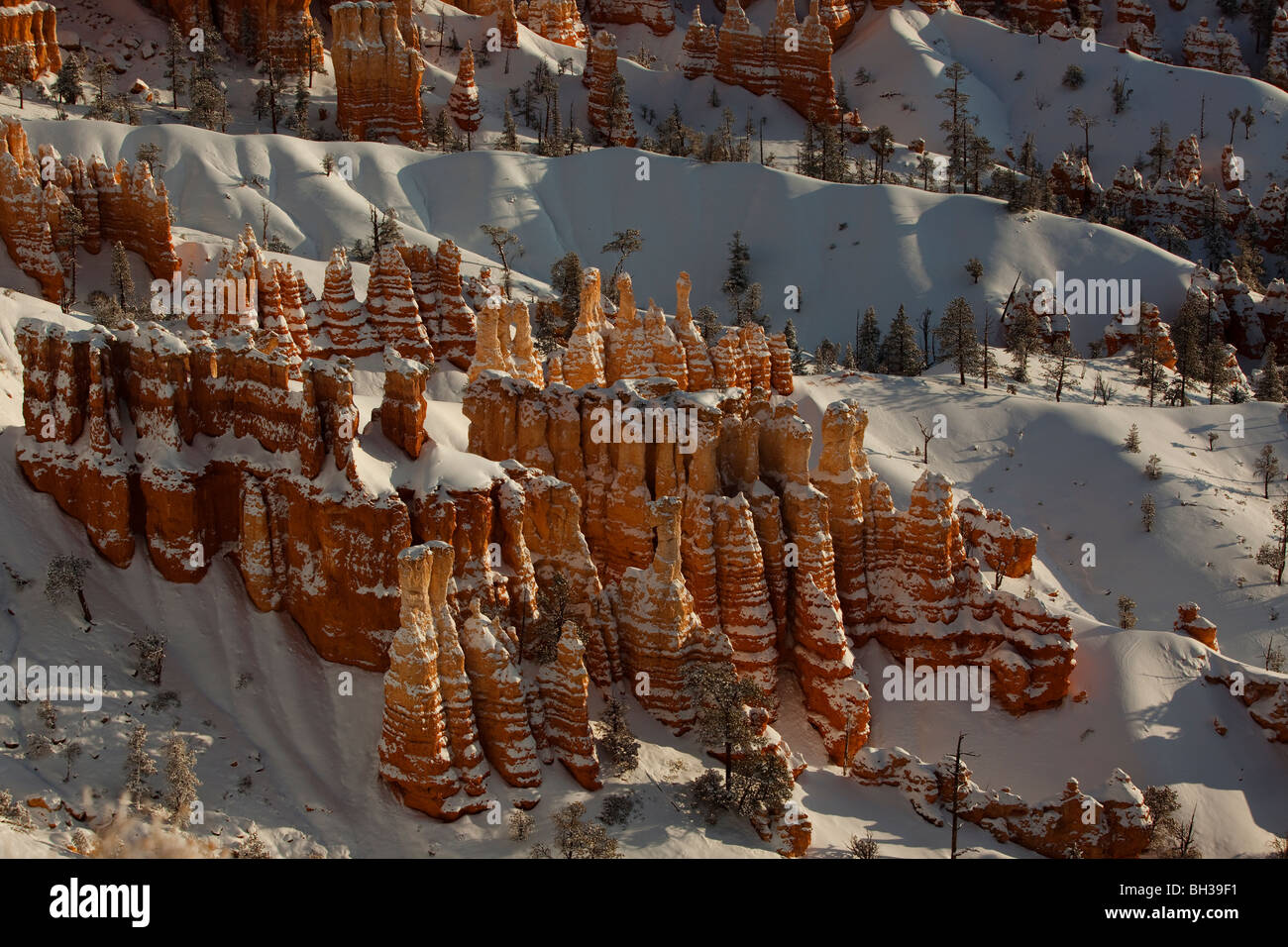 Hoodoos couvertes de neige dans le Parc National de Bryce Canyon Banque D'Images