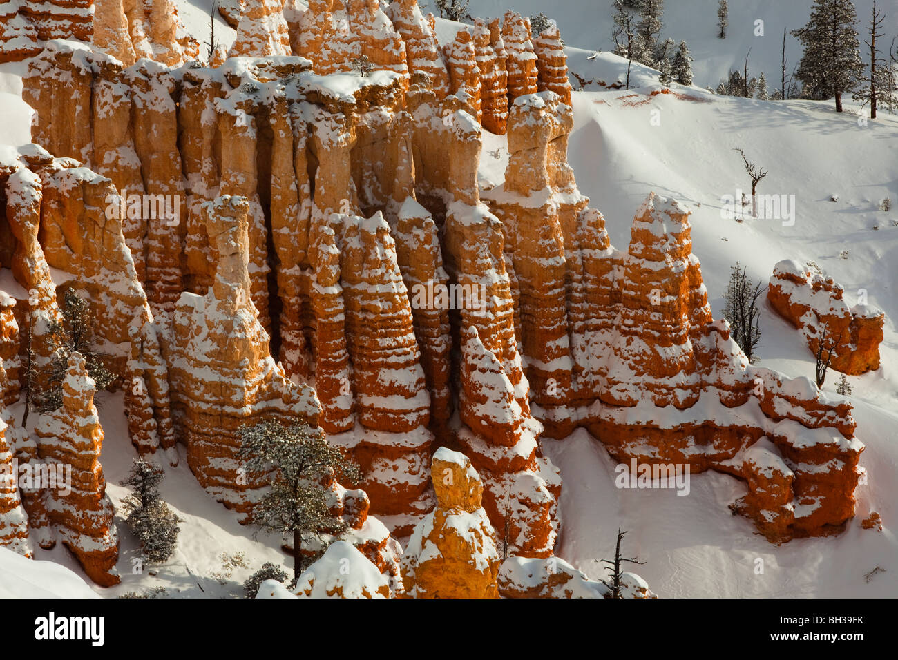 Hoodoos couvertes de neige dans le Parc National de Bryce Canyon Banque D'Images