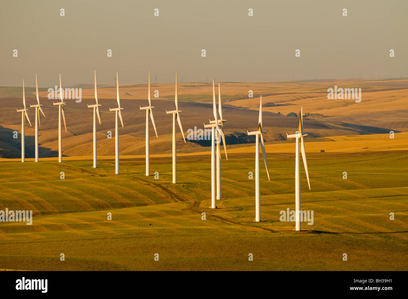 Vue aérienne de Klondike/Biglow Canyon Wind Farm administré par Portland General Electric Photo par Bruce Forster 2009 Banque D'Images