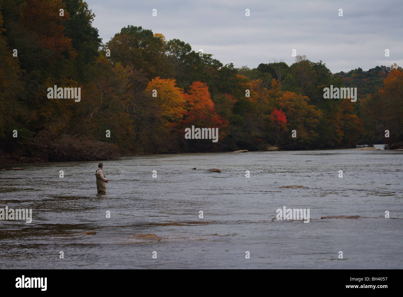 La pêche à la mouche Pêche en rivière AUTOMNE COULEUR D'AUTOMNE ET LES FEUILLES DES ARBRES Banque D'Images