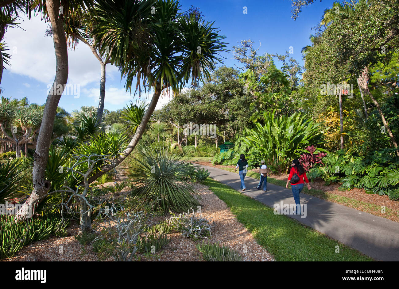 Fairchild Tropical Botanic Garden, en Floride Banque D'Images