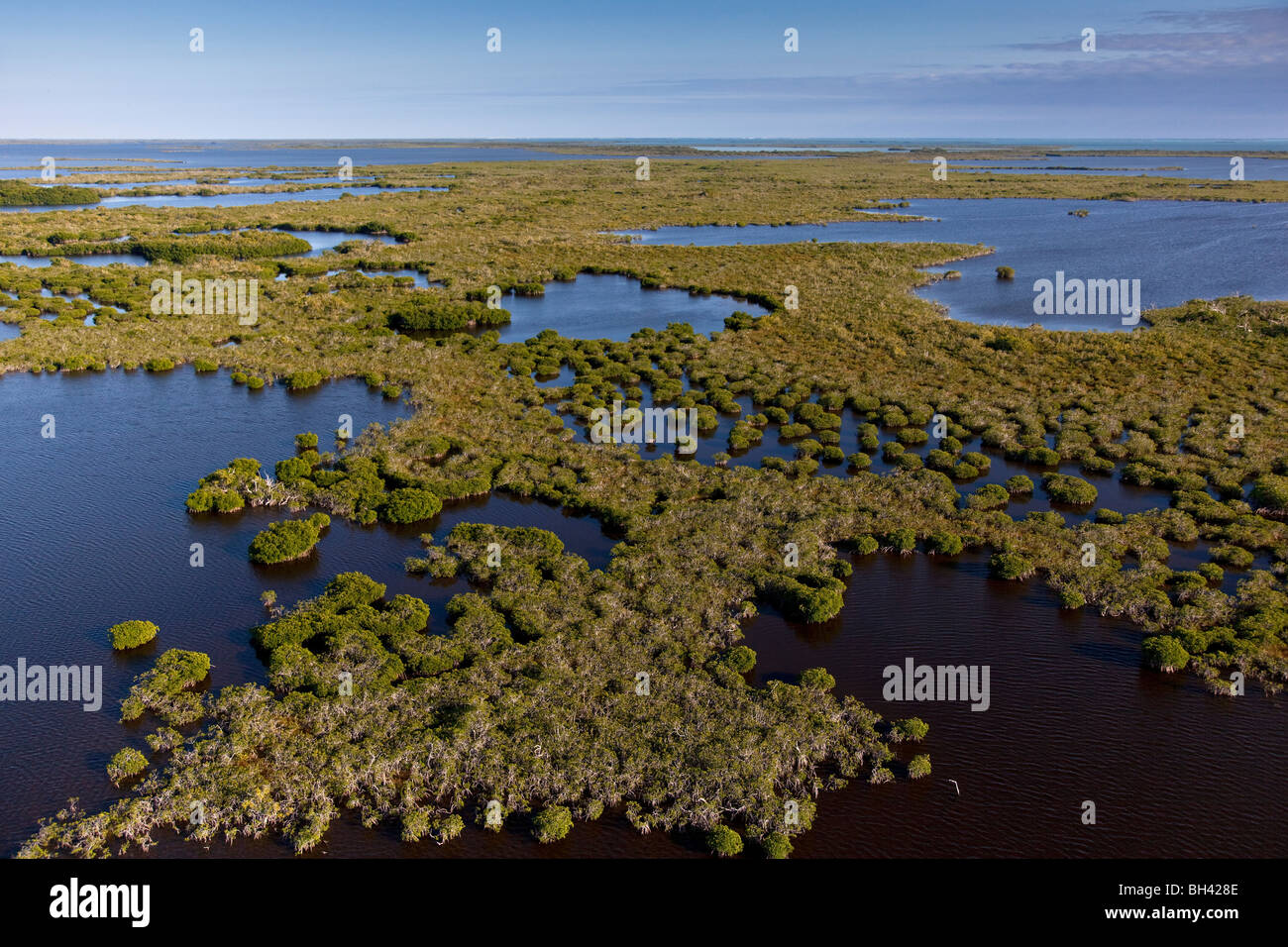 Le Parc National des Everglades FL Floride Site du patrimoine mondial Banque D'Images