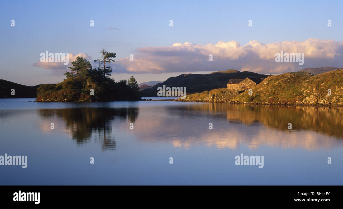 Cregennen Llynnau reflète l'île dans le lac du Parc National de Snowdonia Gwynedd Mid Wales UK Banque D'Images