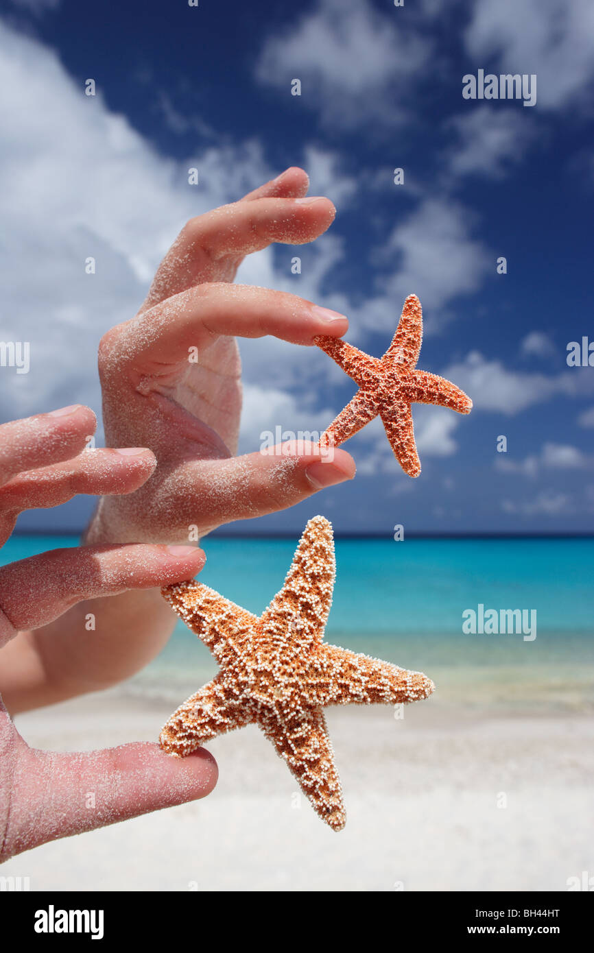A man's hands holding deux étoiles de mer dans l'air sur une plage tropicale déserte Banque D'Images