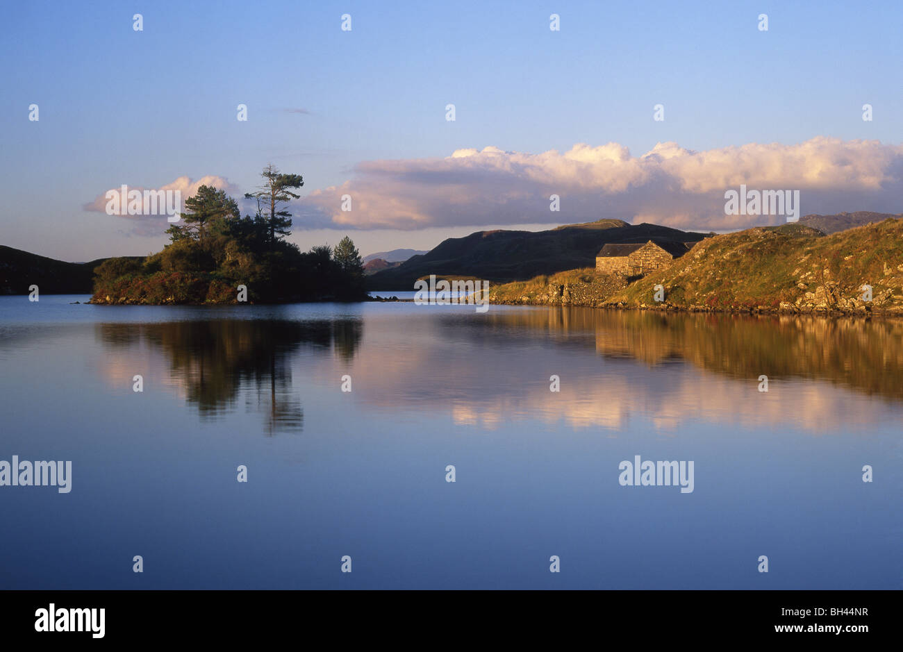 Cregennen Llynnau reflète l'île dans le lac du Parc National de Snowdonia Gwynedd Mid Wales UK Banque D'Images