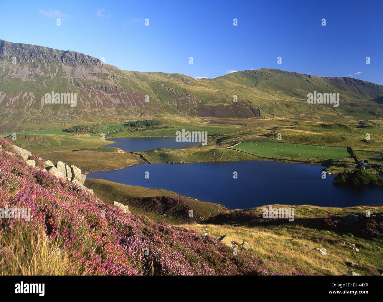 Cregennen Cregennen Llynnau Vue sud des lacs de Bryn Brith Parc national Snowdonia Gwynedd Mid Wales UK Banque D'Images