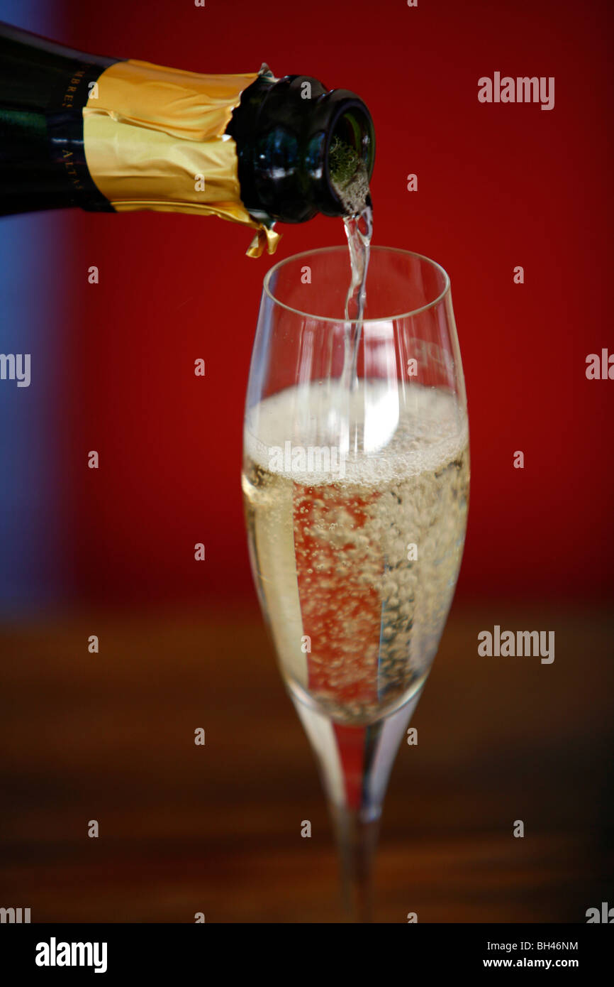 Bouteille de Champagne et de verre, Mendoza, Argentine. Banque D'Images