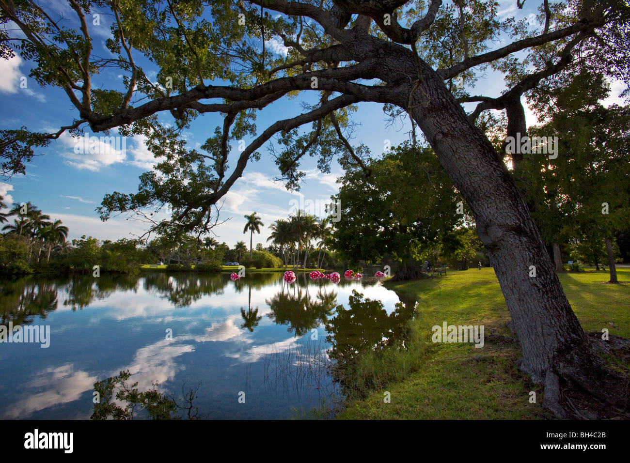 Fairchild Tropical Botanic Garden en Floride Banque D'Images