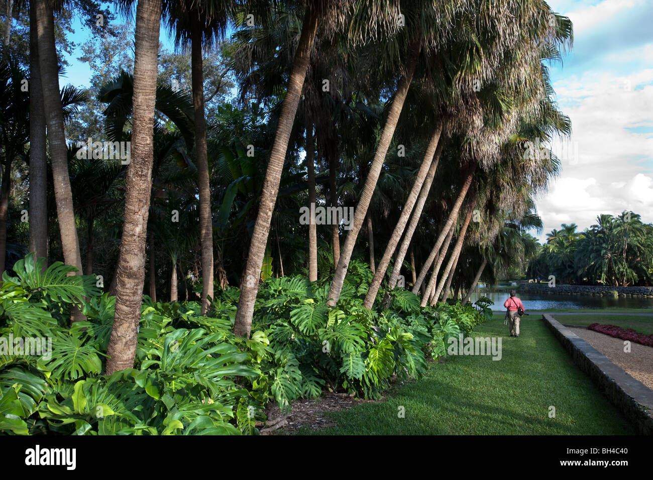 Fairchild Tropical Botanic Garden en Floride Banque D'Images