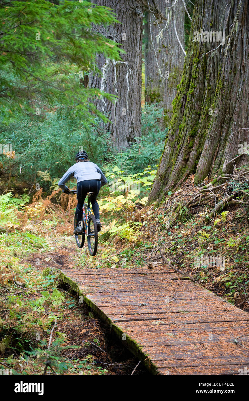 Un vélo de montagne s'envole un petit pont tout en montant un sentier à travers les arbres de cèdre géant dans le nord de l'Idaho. Banque D'Images