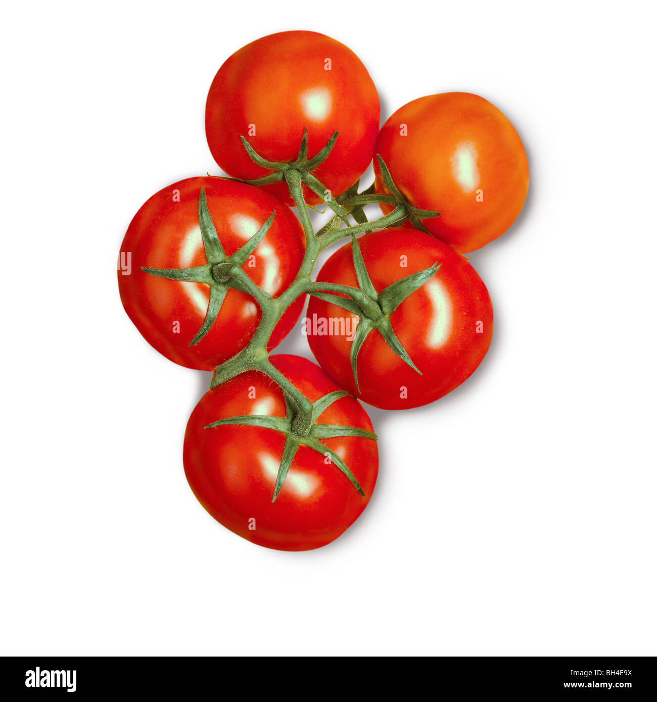 Tomates sur un fond blanc Banque D'Images