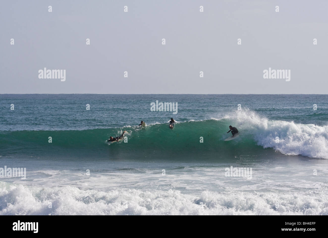 Surfer sur la Sardaigne. Mini Capo Capo Mannu. L'Italie, Sardaigne, île, mer Méditerranée Banque D'Images