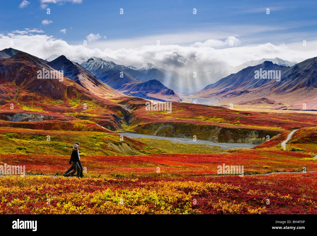 Les randonneurs, couleurs d'automne et de l'Alaska, Denali National Park, Alaska Banque D'Images