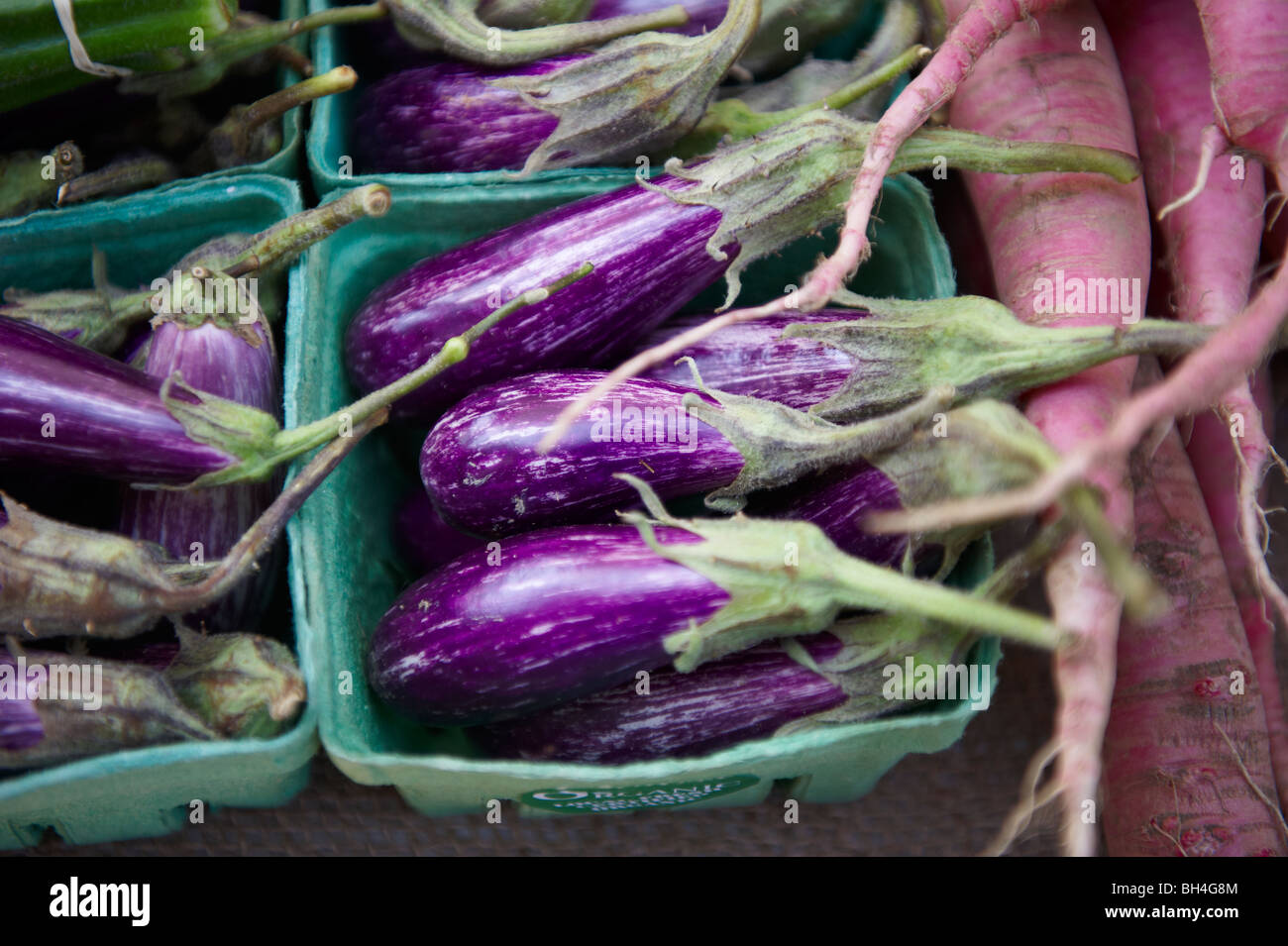 L'aubergine, le marché fermier de Riverdale, Toronto (Ontario) Banque D'Images
