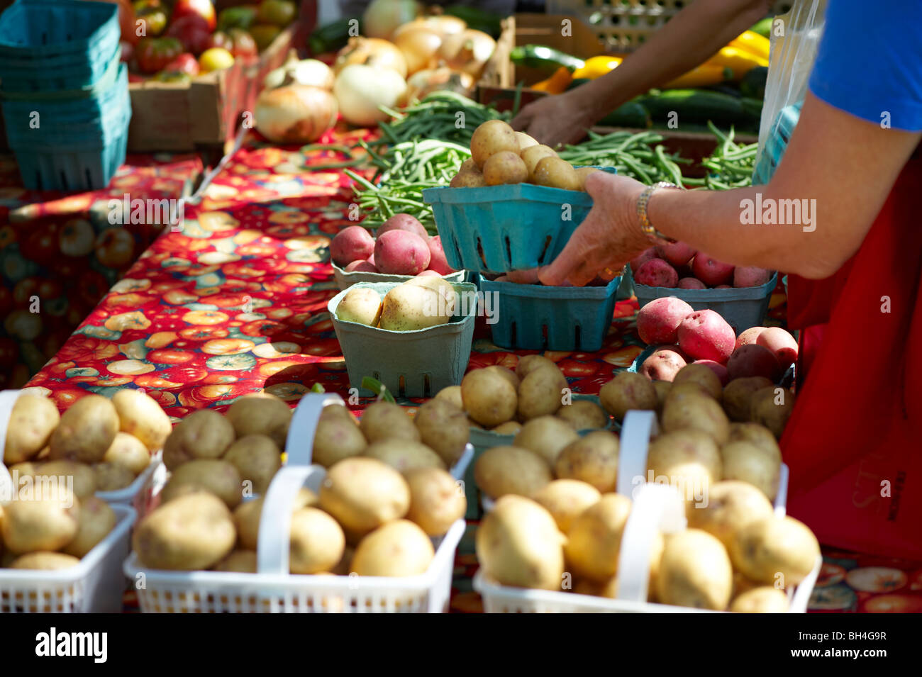 Les personnes achetant des pommes au marché fermier de Riverdale, Toronto (Ontario) Banque D'Images