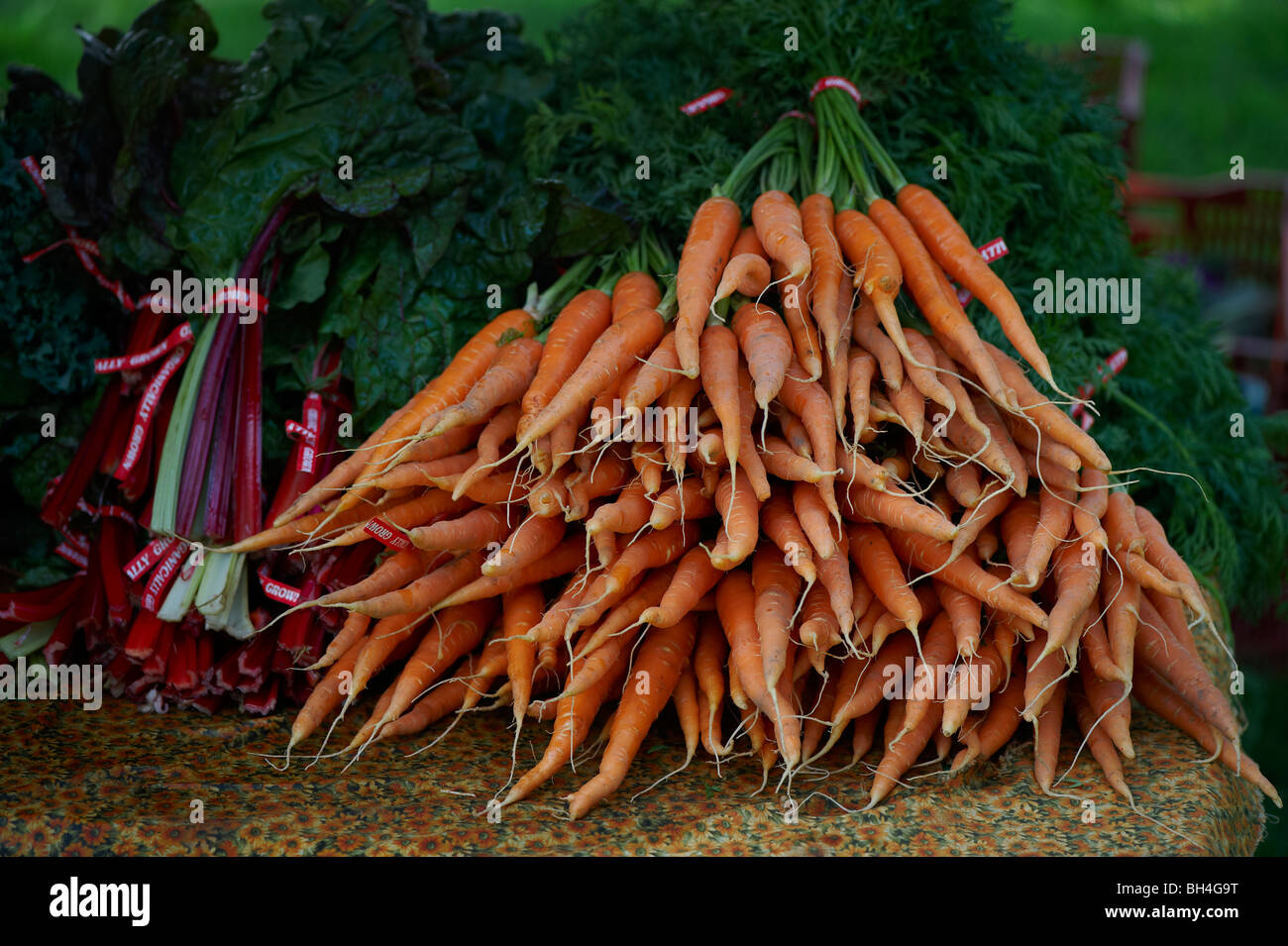 Les carottes et la bette à carde, le marché fermier de Riverdale, Toronto (Ontario) Banque D'Images
