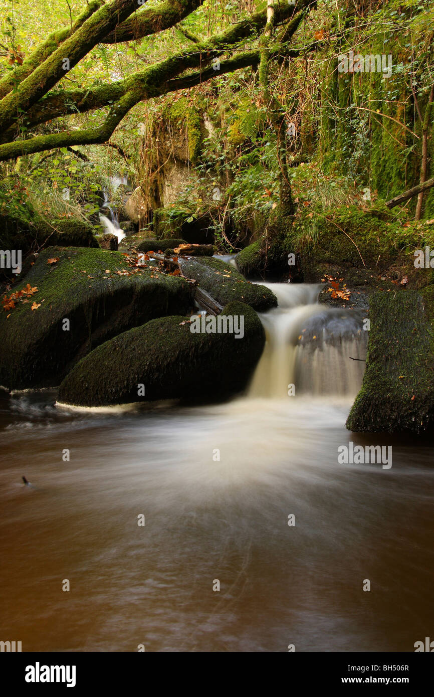 Une petite chute dans un cours d'eau forestiers dans la région de la France. Banque D'Images