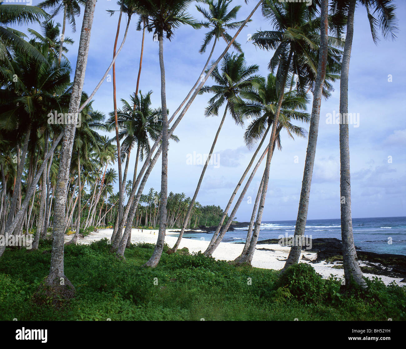 'Retour au Paradis' Lefaga Beach, île d'Upolu, Samoa Banque D'Images