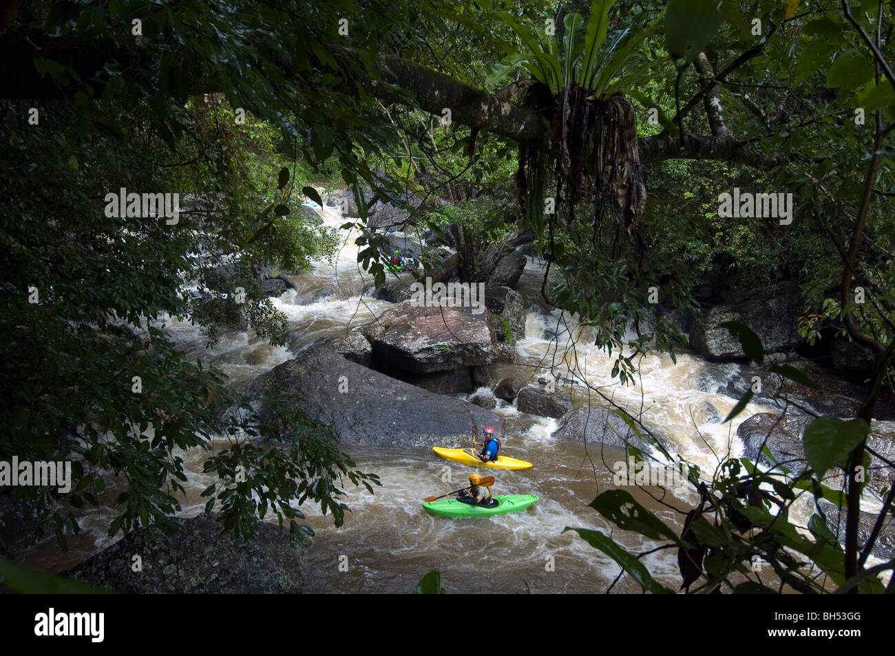 Les pagayeurs d'eau vive et les inondations en saison humide à Crystal Cascades, Redlynch, Cairns, Queensland du nord, Australie. Pas de monsieur ou PR Banque D'Images