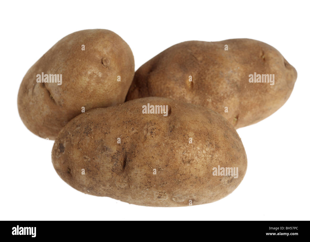 Trois pommes de terre russet over a white background Banque D'Images