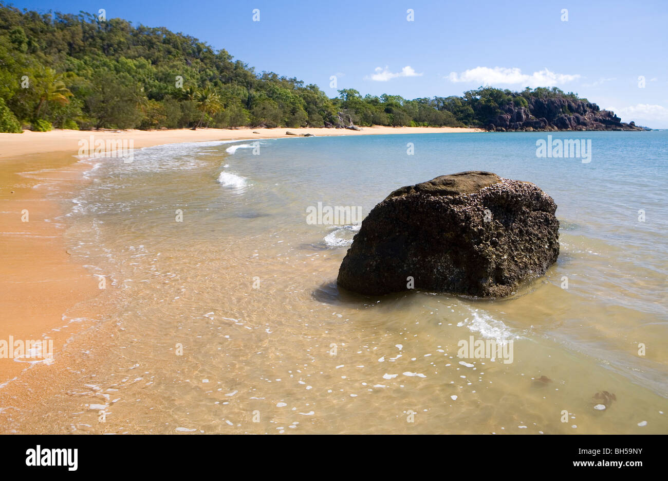 Orchid Beach, à la pointe nord de l'île, à côté d'Hinchinbrook Resort Banque D'Images