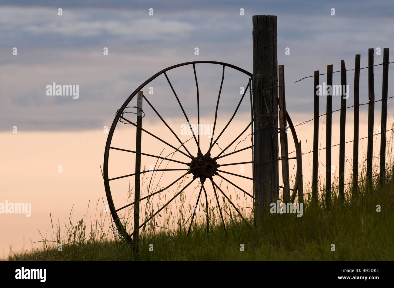 Ranch gate est de la Jordanie Banque D'Images
