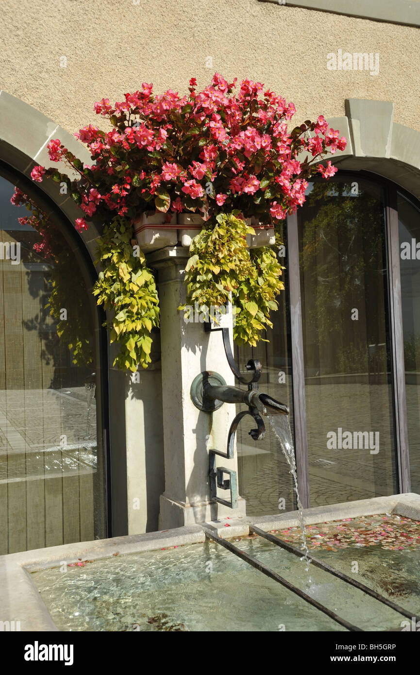 Une jolie et abreuvoir orné au centre de Nyon dans la région du Léman, de la Suisse. Banque D'Images