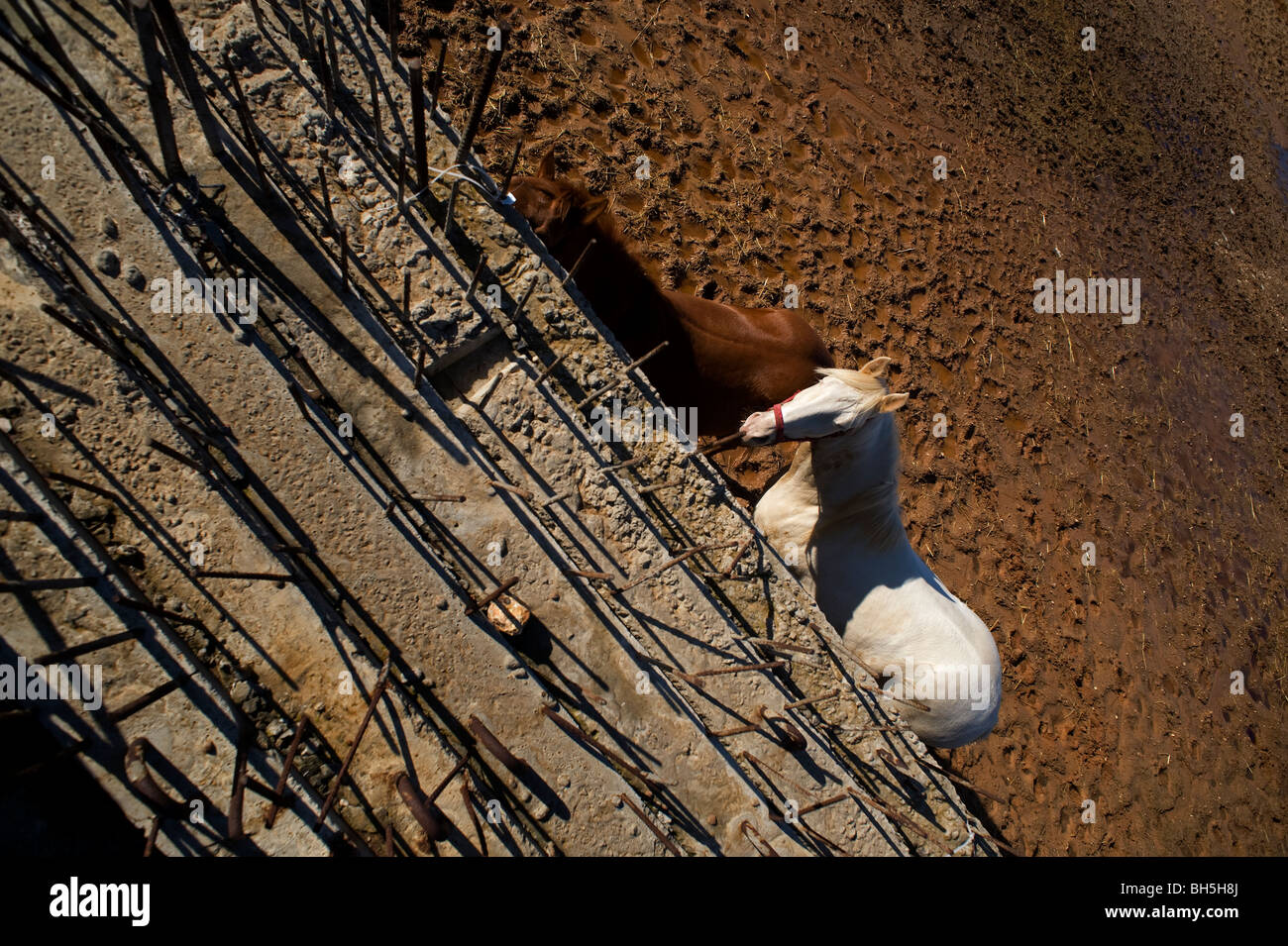 Pile de murs en béton, dans la périphérie d'Ariel une colonie juive et une ville dans le Samarian collines de Cisjordanie Israël Banque D'Images