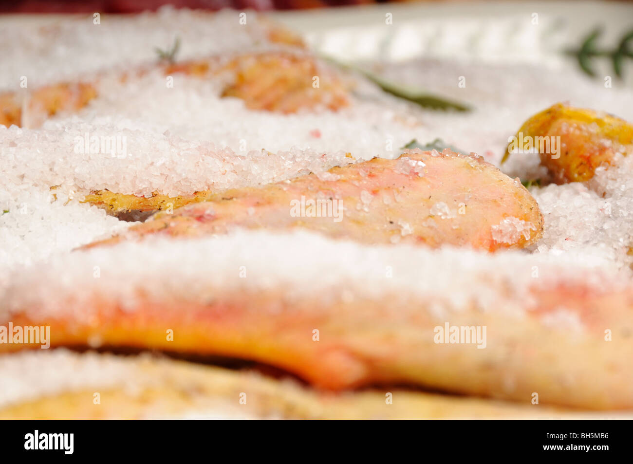 Stock photo de morceaux de canard en préparation au sel pour faire de confit de canard. Banque D'Images