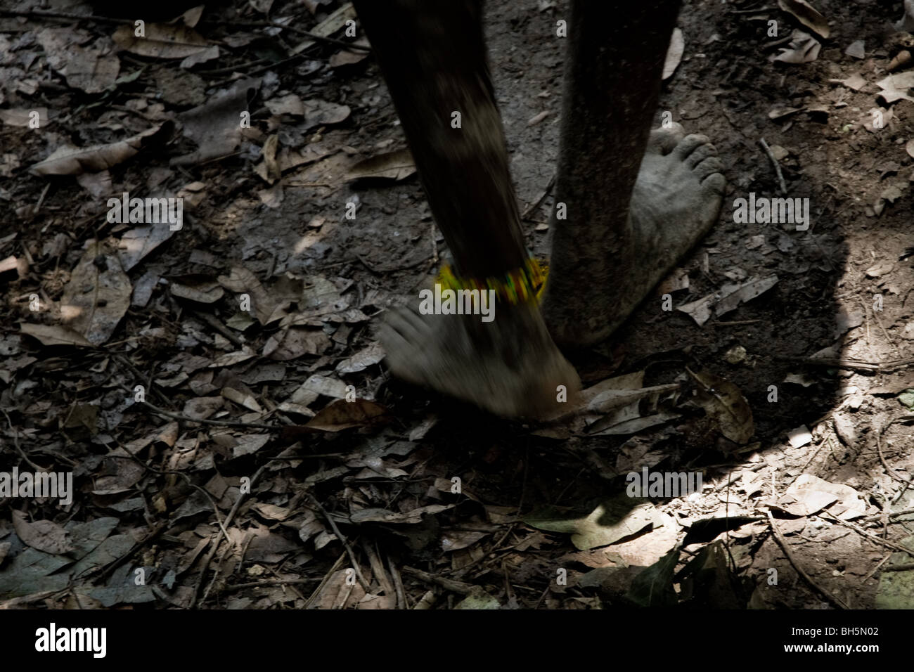 Un talisman coloré autour de la cheville du garçon haïtien vu au cours de la célébration religieuse à ville bonheur, Haïti. Banque D'Images