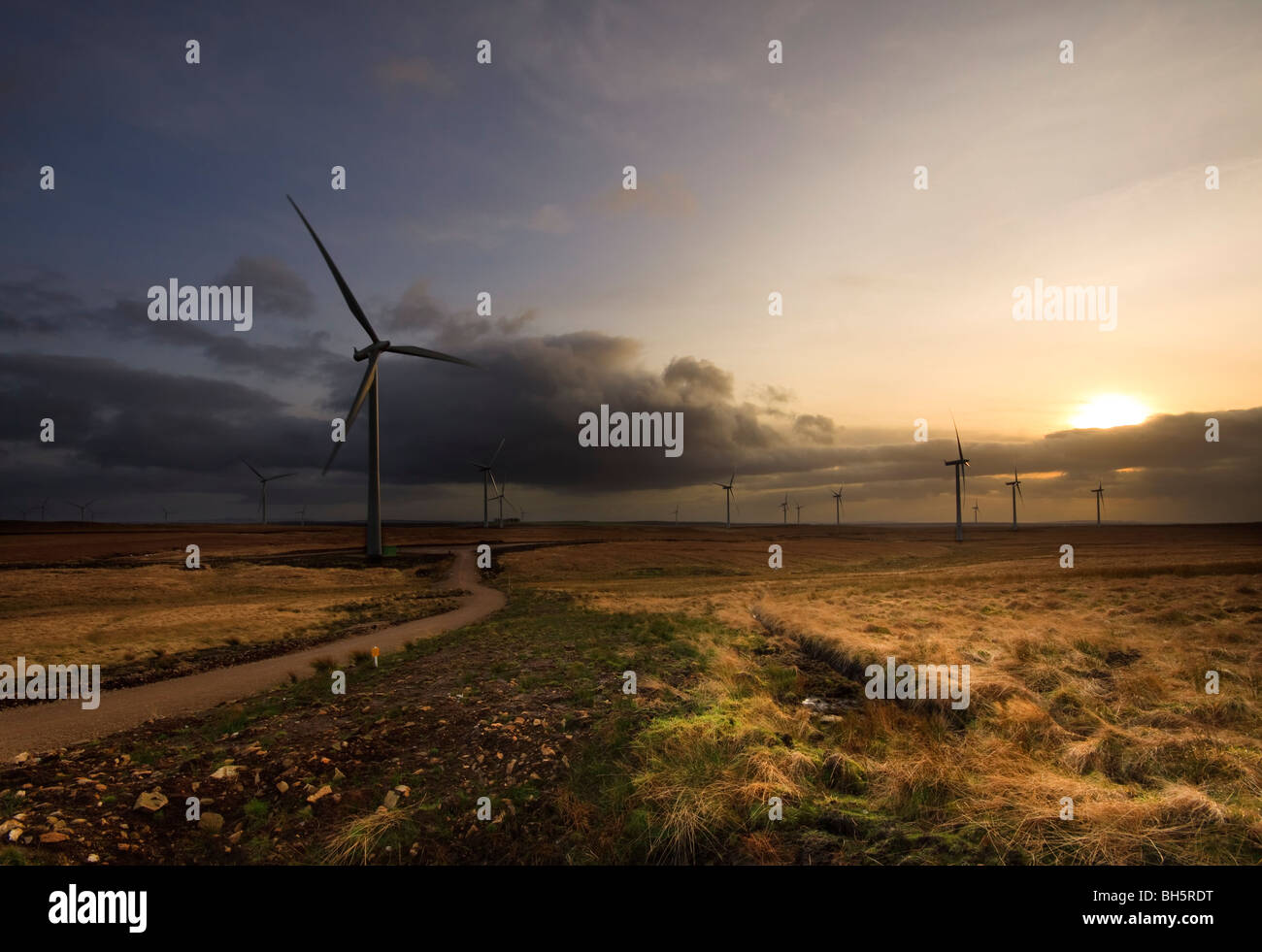 Éoliennes à Whitelee, Eaglesham Moor, Glasgow Banque D'Images