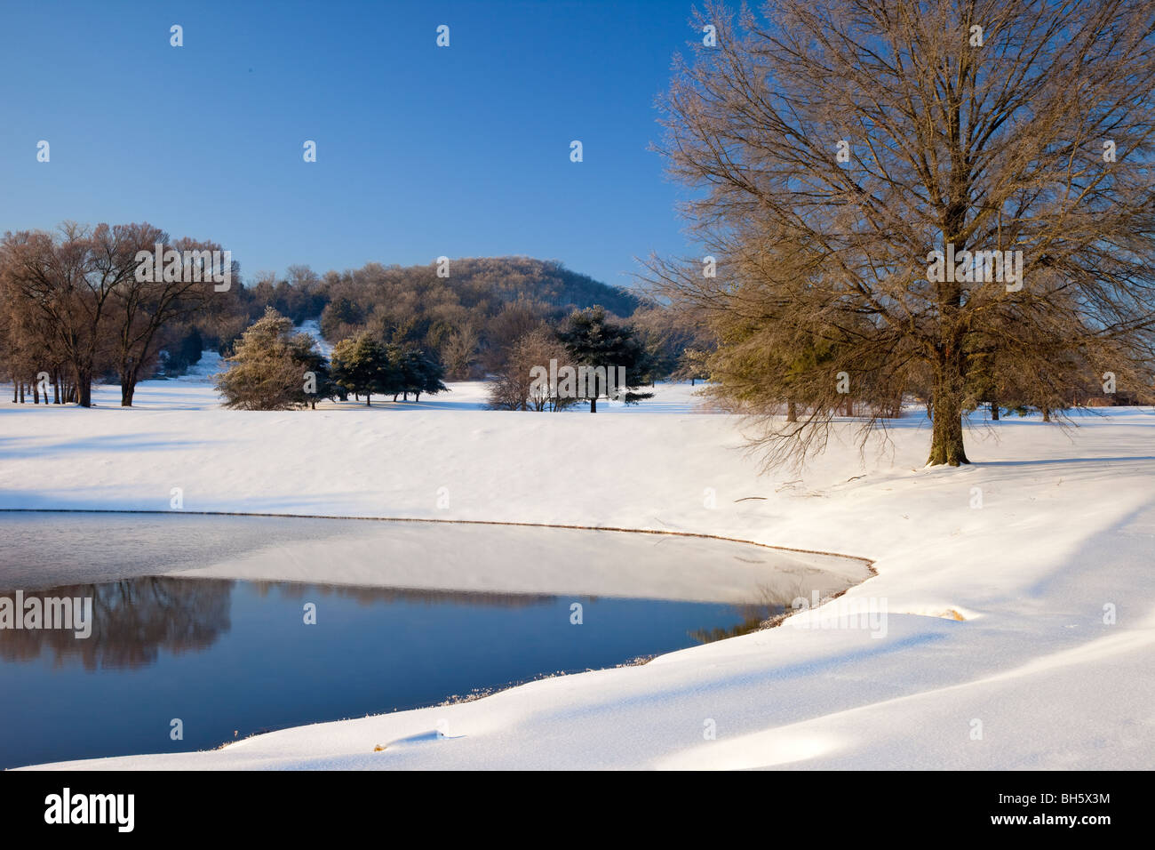 L'aube d'hiver le long du bord d'un étang à Brentwood Tennessee USA Banque D'Images