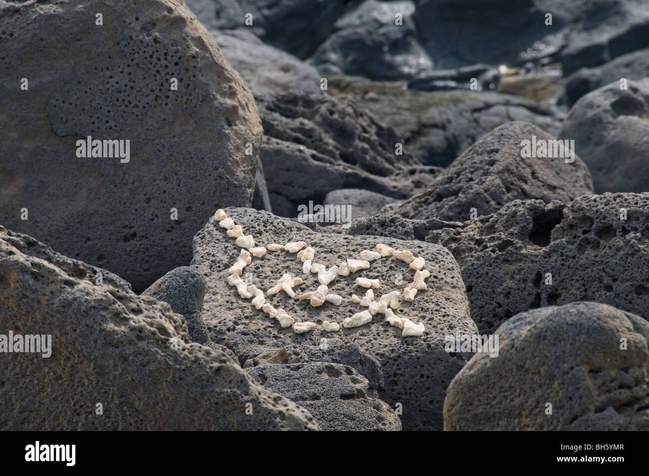 Cœur fait de shell sur la pierre de lave. Big Island Hawaii Banque D'Images