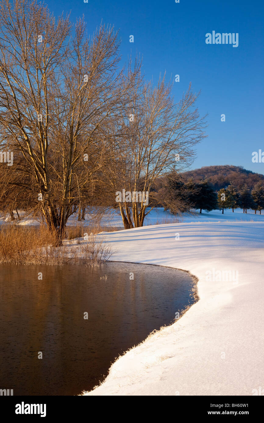 L'aube d'hiver le long du bord d'un étang à Brentwood Tennessee USA Banque D'Images