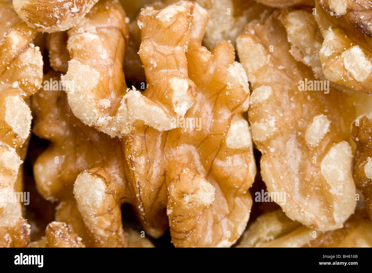 Close up de cerneaux de noix Banque D'Images